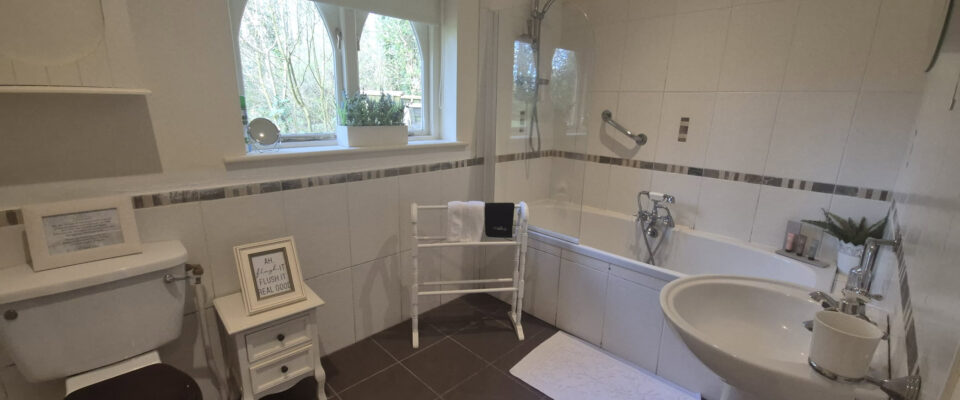 clonganny-gate-lodge-bathroom